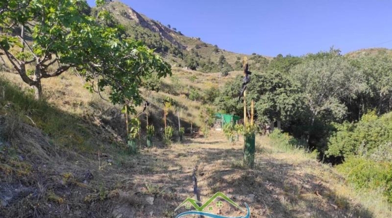 Granada - Almuñécar - 53000m2