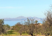 Xalet independent amb terreny en venda a la España, Artà, ref.: TR135978 foto