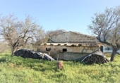 Xalet independent amb terreny en venda a la España, Artà, ref.: TR135978 foto