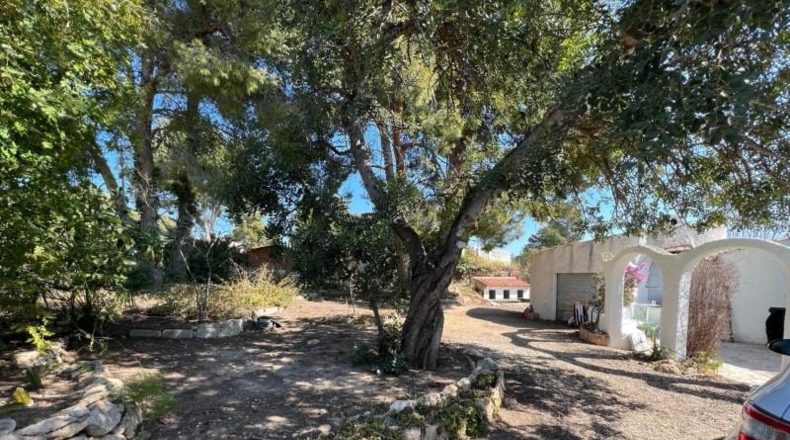 Alicante - La Nucía - 2000m2