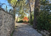 Finca rústica en venda a la España, Ronda, ref.: TR368971 foto