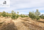 Non-developable land for sale on España, Cozvíjar, ref: TR371906 photo