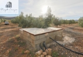 Non-developable land for sale on España, Cozvíjar, ref: TR371906 photo