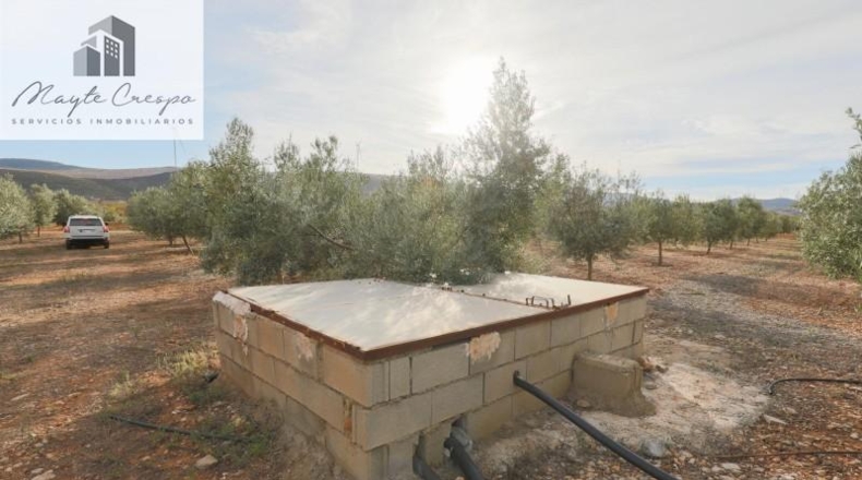 Granada - Cozvíjar - 160000m2
