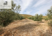 Non-developable land for sale on España, Cozvíjar, ref: TR371906 photo