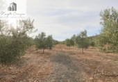 Non-developable land for sale on España, Cozvíjar, ref: TR371906 photo