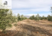 Non-developable land for sale on España, Cozvíjar, ref: TR371906 photo