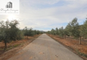 Non-developable land for sale on España, Cozvíjar, ref: TR371906 photo