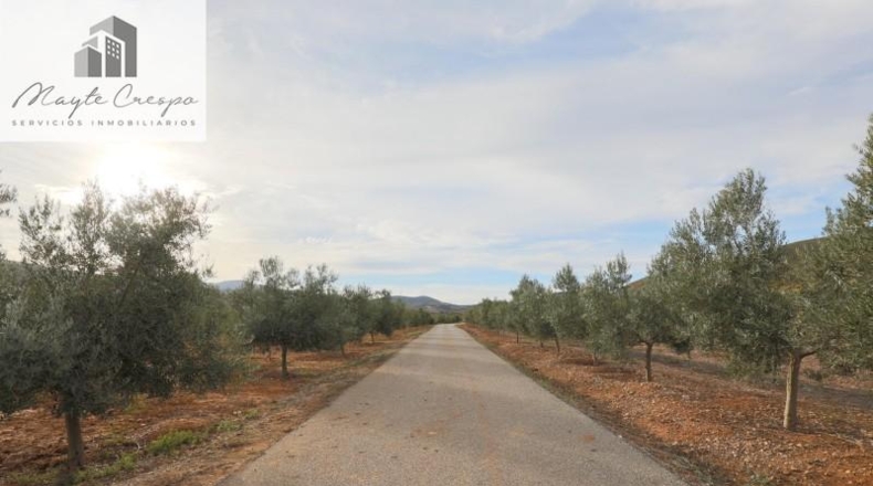Granada - Cozvíjar - 160000m2