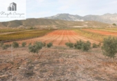 Non-developable land for sale on España, Cozvíjar, ref: TR371906 photo