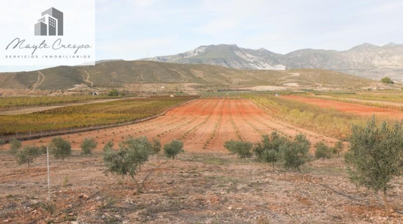 Granada - Cozvíjar - 160000m2