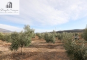 Non-developable land for sale on España, Cozvíjar, ref: TR371906 photo