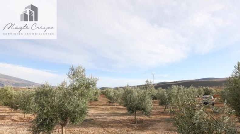 Granada - Cozvíjar - 160000m2