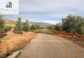 Non-developable land for sale on España, Cozvíjar, ref: TR371906 photo