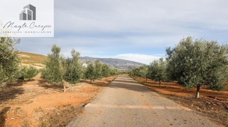 Granada - Cozvíjar - 160000m2