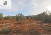 Non-developable land for sale on España, Cozvíjar, ref: TR371906 photo