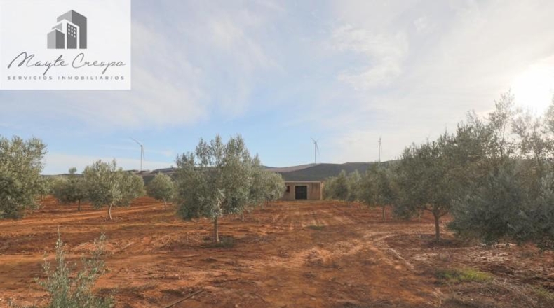 Granada - Cozvíjar - 160000m2