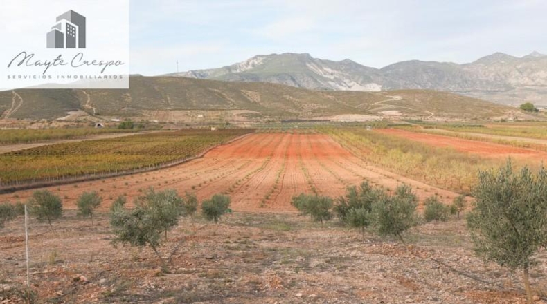 Granada - Cozvíjar - 160000m2