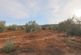 Foto 14