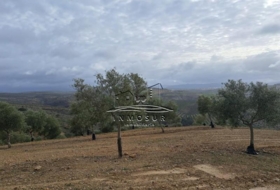 Benamejí 320000&nbsp;m²