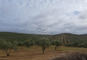 Land suitable for development for sale on España, Benamejí, ref: TR375708 photo