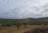 Land suitable for development for sale on España, Benamejí, ref: TR375708 photo