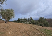 Land suitable for development for sale on España, Benamejí, ref: TR375708 photo