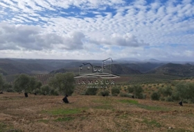 Benamejí 320000&nbsp;m²