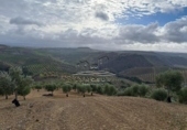 Land suitable for development for sale on España, Benamejí, ref: TR375708 photo