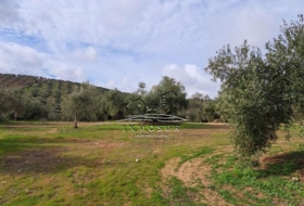 Benamejí 320000&nbsp;m²