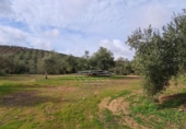 Land suitable for development for sale on España, Benamejí, ref: TR375708 photo