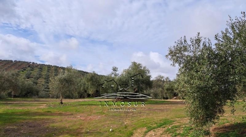Córdoba - Benamejí - 320000m2