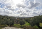 Land suitable for development for sale on España, Benamejí, ref: TR375708 photo