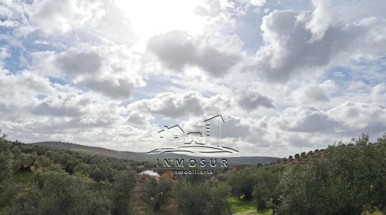 Córdoba - Benamejí - 320000m2