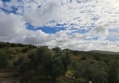 Land suitable for development for sale on España, Benamejí, ref: TR375708 photo