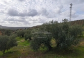 Land suitable for development for sale on España, Benamejí, ref: TR375708 photo
