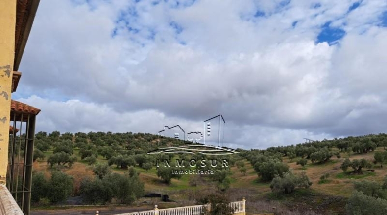 Córdoba - Benamejí - 320000m2