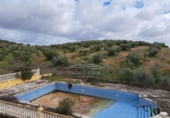 Land suitable for development for sale on España, Benamejí, ref: TR375708 photo