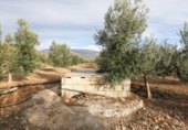 Non-developable land for sale on España, Cozvíjar, ref: TR372521 photo
