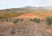 Non-developable land for sale on España, Cozvíjar, ref: TR372521 photo