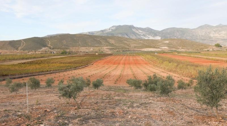 Granada - Cozvíjar - 160000m2