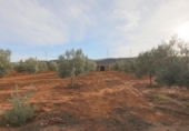 Non-developable land for sale on España, Cozvíjar, ref: TR372521 photo