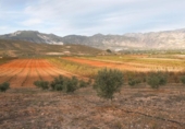 Non-developable land for sale on España, Cozvíjar, ref: TR372521 photo