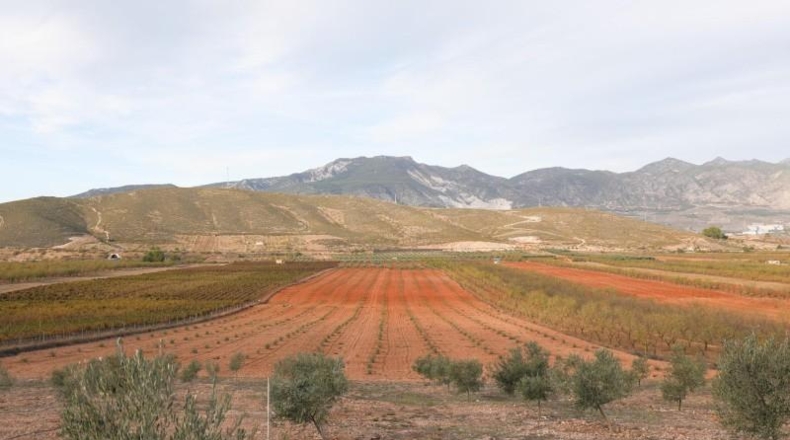 Granada - Cozvíjar - 160000m2