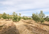 Non-developable land for sale on España, Cozvíjar, ref: TR371797 photo