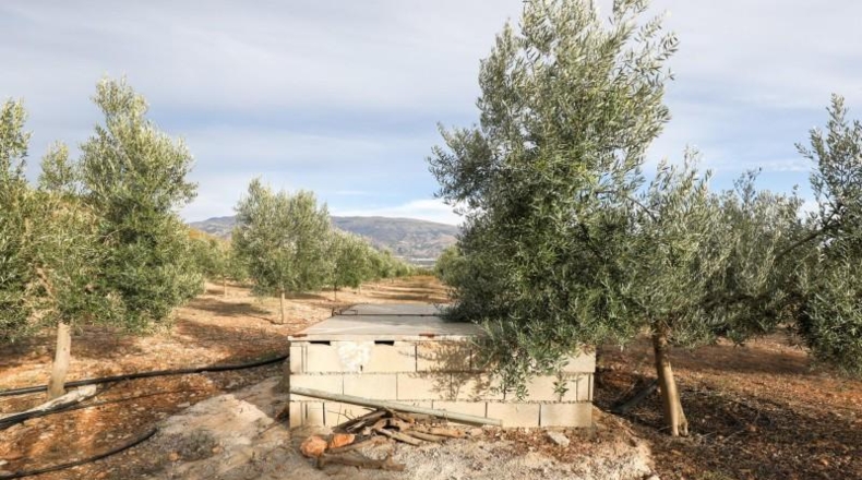 Granada - Cozvíjar - 160000m2