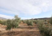Non-developable land for sale on España, Cozvíjar, ref: TR371797 photo
