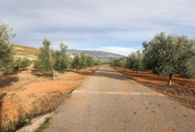 Cozvíjar 160000&nbsp;м²