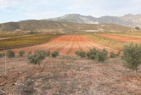 Cozvíjar 160000&nbsp;м²