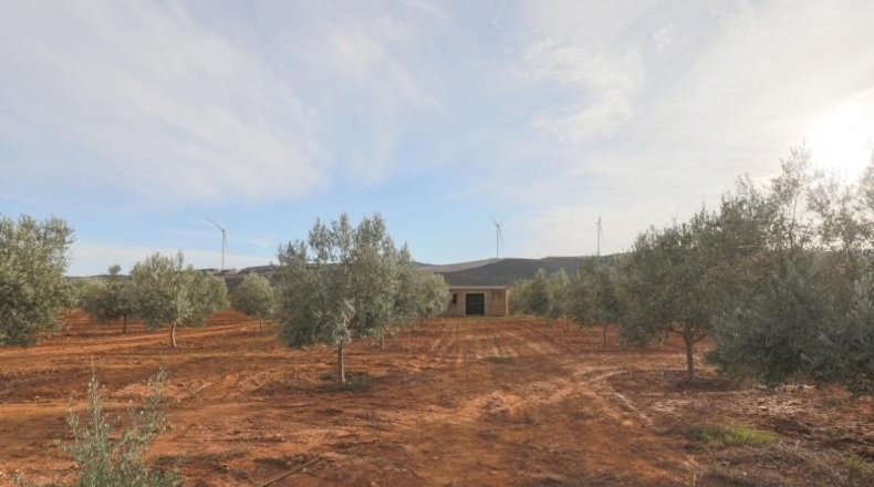 Granada - Cozvíjar - 160000m2